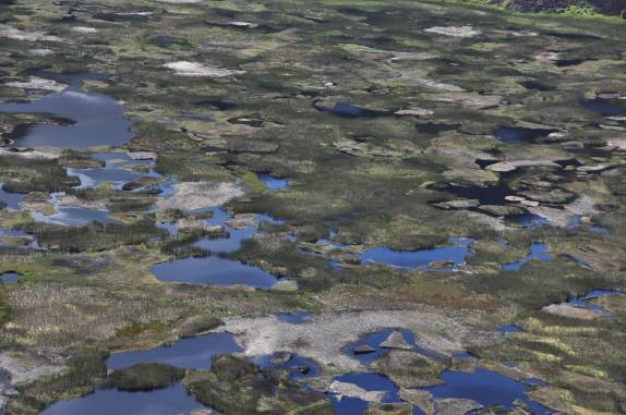 Lago coberto por junco no interior da cratera Rano Kau, em Rapa Nui (ou Ilha de Páscoa), ilha chilena no meio do Oceano Pacífico